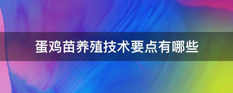 蛋鸡苗养殖技术要点有哪些