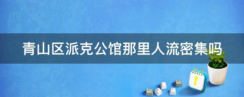 青山区派克公馆那里人流密集吗