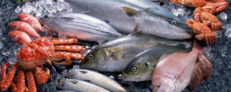 海鲜种类-墨子百科 海鲜种类