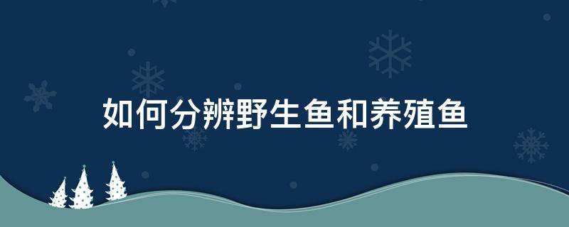 如何分辨野生鱼和养殖鱼