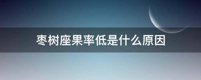 枣树座果率低是什么原因